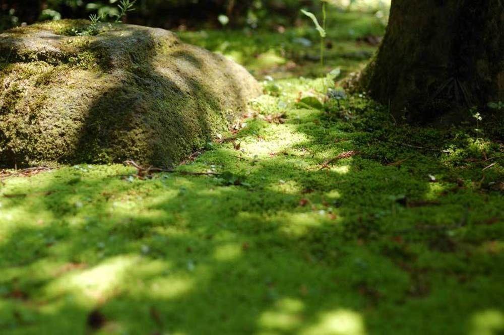 Kocho Otel Kaga  Dış mekan fotoğraf